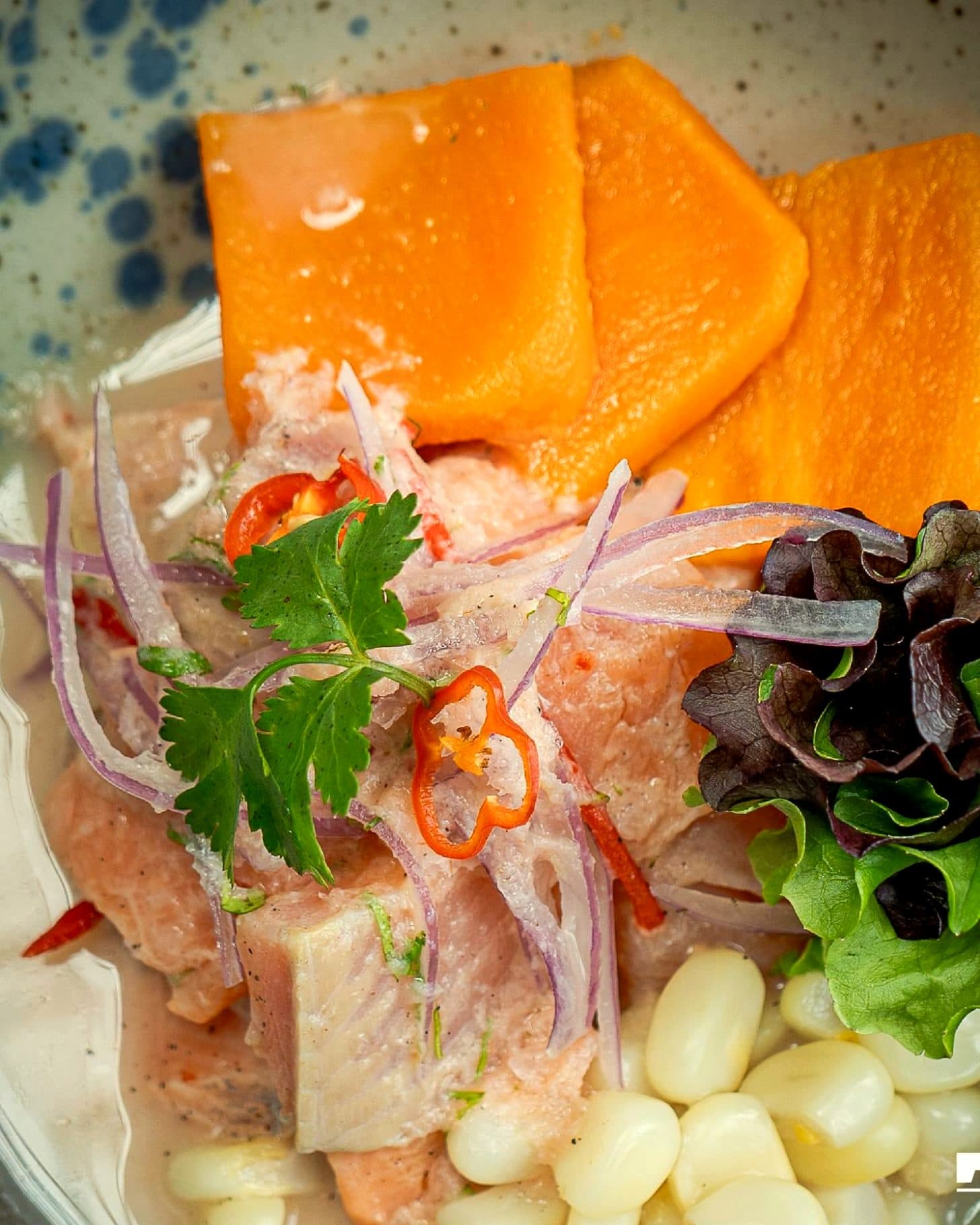 Ceviche de Santa Tierra